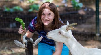 Louise camper with goats